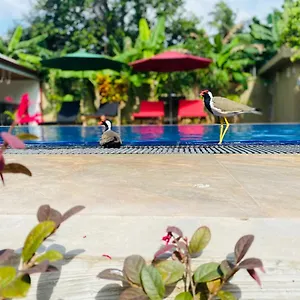 https://the-kingslayer-resort.kandyhotelsnow.com